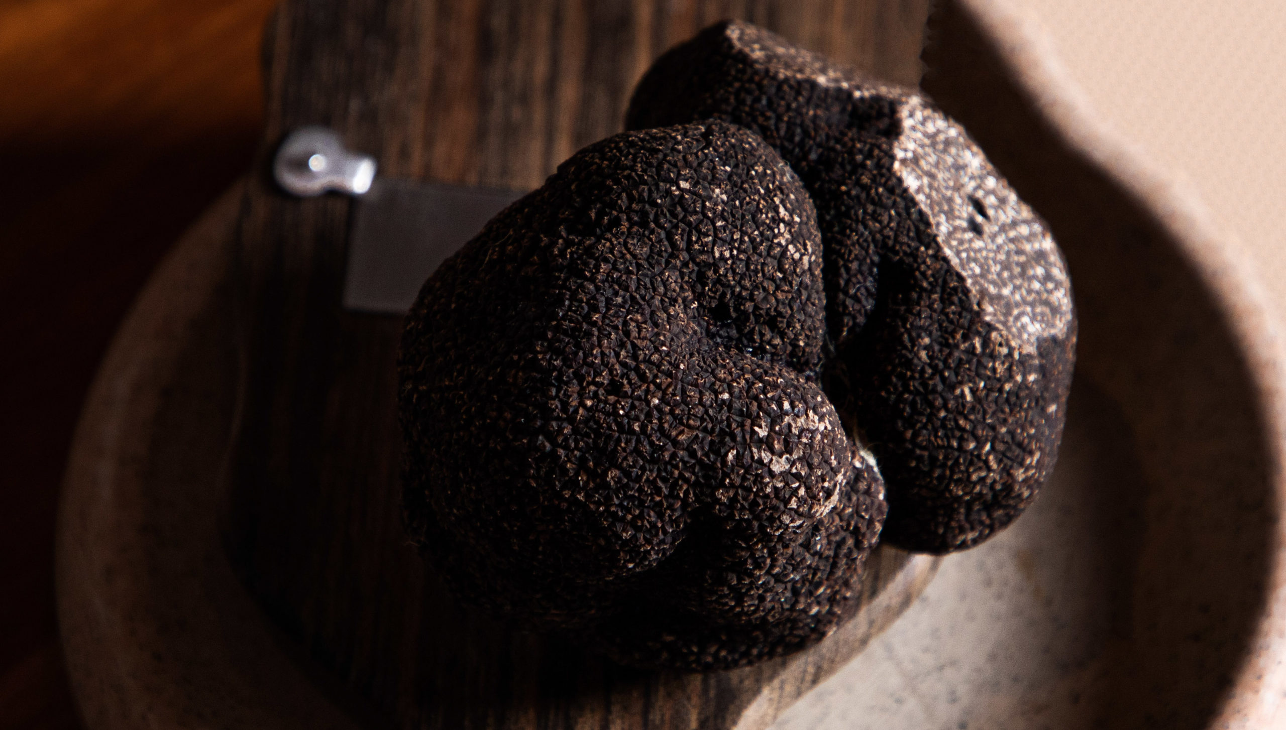 CLtruffle-1